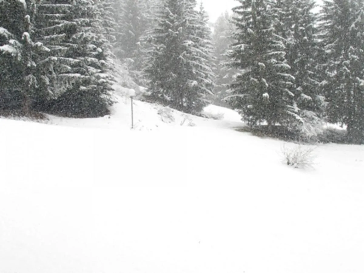 Studio Skis Aux Pieds, Proche Commerces, Animaux Admis A Arc 1800 - Fr-1-411-128 Les Arcs  Apartment Les Arcs (Savoie)