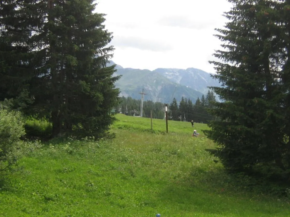 Apartment Studio Skis Aux Pieds, Proche Commerces, Animaux Admis A Arc 1800 - Fr-1-411-128 Les Arcs  France